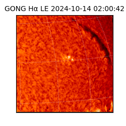 gong - 2024-10-14T02:00:42