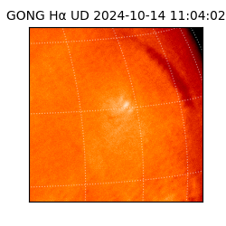gong - 2024-10-14T11:04:02