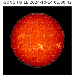 gong - 2024-10-14T01:00:42