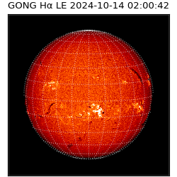 gong - 2024-10-14T02:00:42