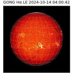 gong - 2024-10-14T04:00:42