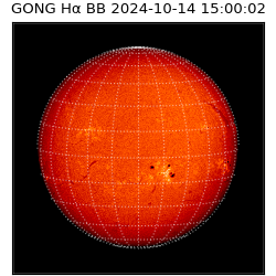 gong - 2024-10-14T15:00:02