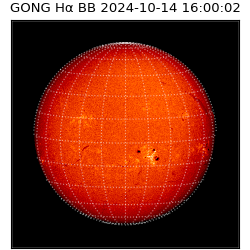 gong - 2024-10-14T16:00:02
