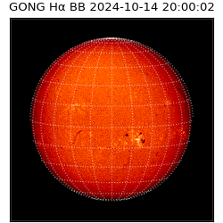 gong - 2024-10-14T20:00:02