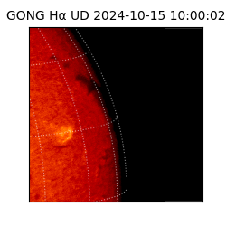 gong - 2024-10-15T10:00:02