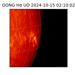 gong - 2024-10-15T02:10:02