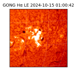 gong - 2024-10-15T01:00:42