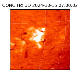 gong - 2024-10-15T07:00:02