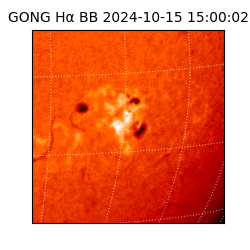 gong - 2024-10-15T15:00:02