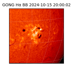 gong - 2024-10-15T20:00:02