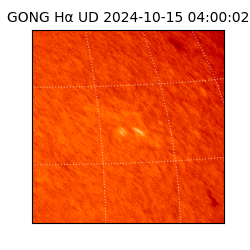 gong - 2024-10-15T04:00:02