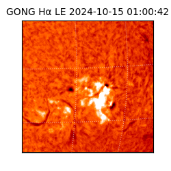 gong - 2024-10-15T01:00:42