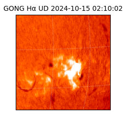 gong - 2024-10-15T02:10:02