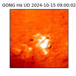 gong - 2024-10-15T09:00:02