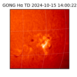 gong - 2024-10-15T14:00:22