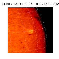 gong - 2024-10-15T09:00:02