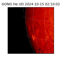 gong - 2024-10-15T02:10:02