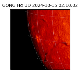 gong - 2024-10-15T02:10:02