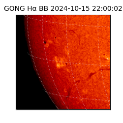 gong - 2024-10-15T22:00:02