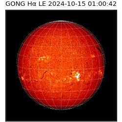 gong - 2024-10-15T01:00:42