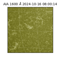 saia - 2024-10-16T08:00:14.133000