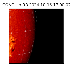 gong - 2024-10-16T17:00:02