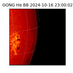 gong - 2024-10-16T23:00:02