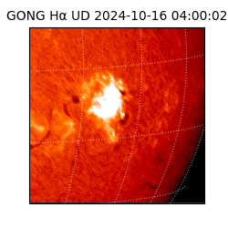 gong - 2024-10-16T04:00:02