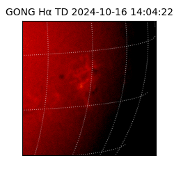gong - 2024-10-16T14:04:22