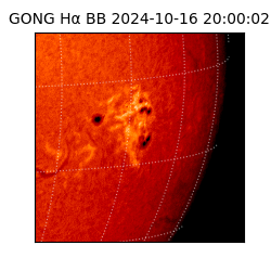 gong - 2024-10-16T20:00:02