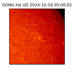 gong - 2024-10-16T05:00:02