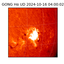 gong - 2024-10-16T04:00:02