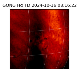 gong - 2024-10-16T08:16:22