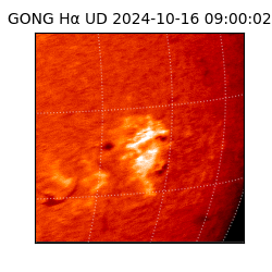 gong - 2024-10-16T09:00:02