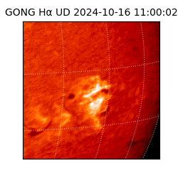 gong - 2024-10-16T11:00:02