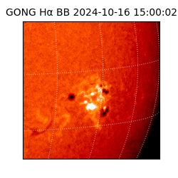 gong - 2024-10-16T15:00:02