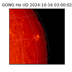 gong - 2024-10-16T03:00:02