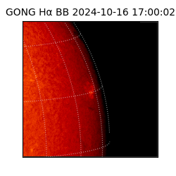gong - 2024-10-16T17:00:02