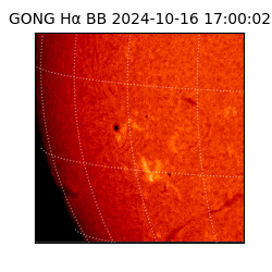 gong - 2024-10-16T17:00:02