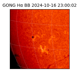 gong - 2024-10-16T23:00:02
