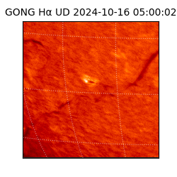 gong - 2024-10-16T05:00:02