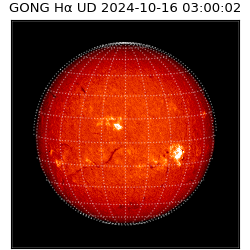 gong - 2024-10-16T03:00:02