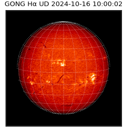 gong - 2024-10-16T10:00:02