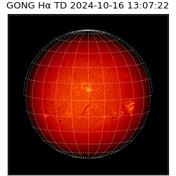 gong - 2024-10-16T13:07:22