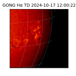 gong - 2024-10-17T12:00:22
