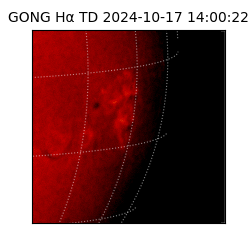 gong - 2024-10-17T14:00:22
