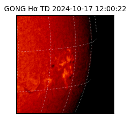 gong - 2024-10-17T12:00:22