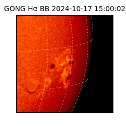 gong - 2024-10-17T15:00:02