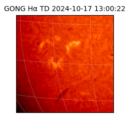 gong - 2024-10-17T13:00:22