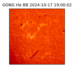 gong - 2024-10-17T19:00:02